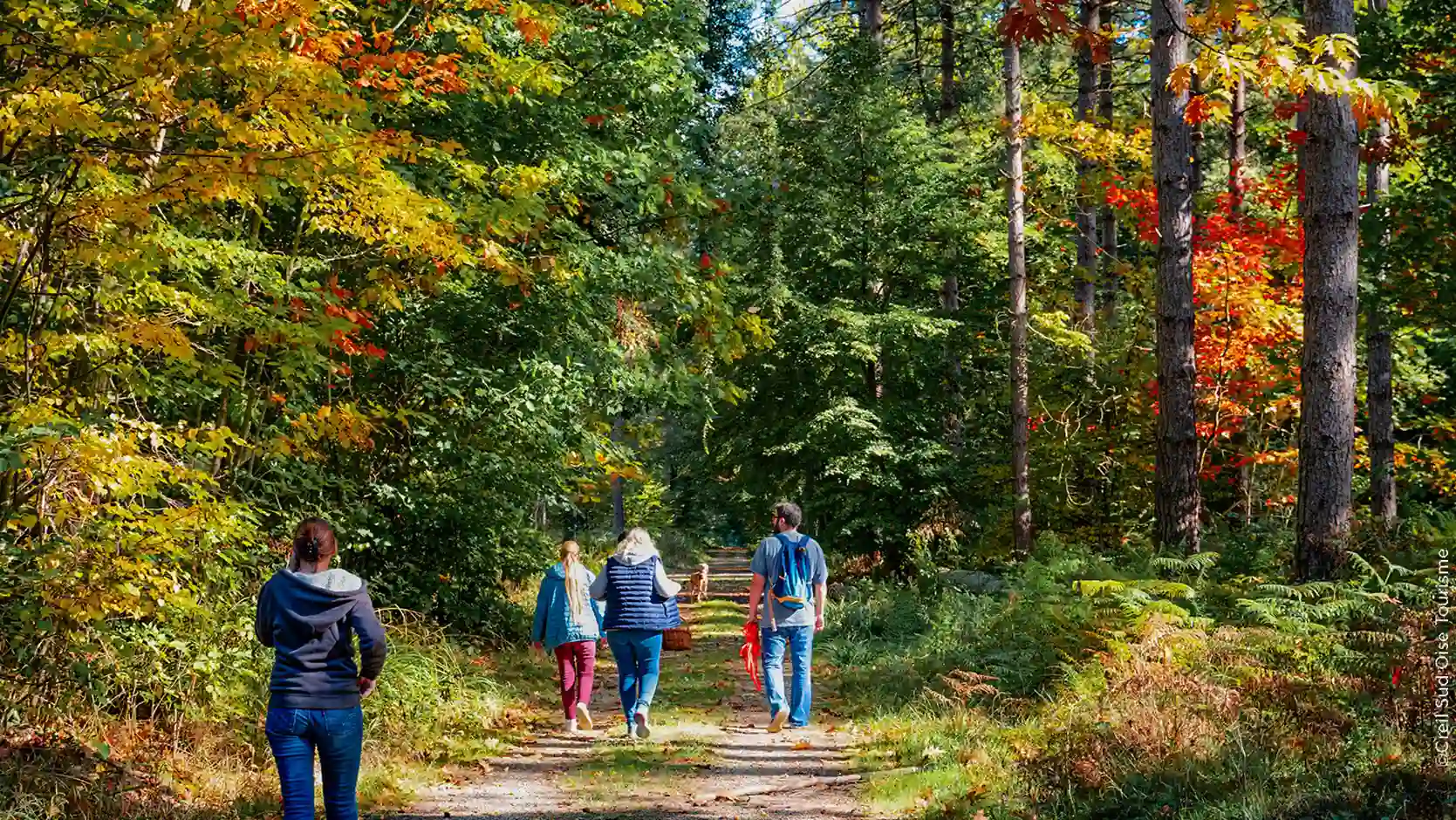 Sortie Mycologique Creil Sud Oise Tourisme ()